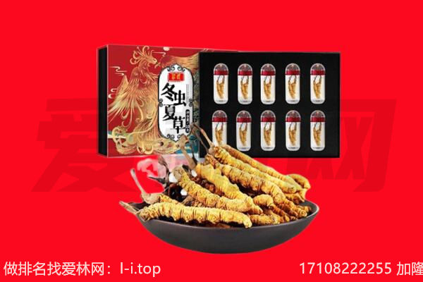 长治屯留区回收虫草.jpg